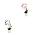 thumbnail image 2 of Advancent Sin flores de imitación marchitas para una belleza duradera en cualquier entorno Bonsái artificial sin riego Type2 NO2, 2 of 6
