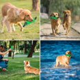 thumbnail image 5 of Juguete para perros Juguete masticable indestructible para masticar agresivamente / Juguete para perros resistente Juguete interactivo para perros de caucho natural para perros grandes y med, 5 of 5