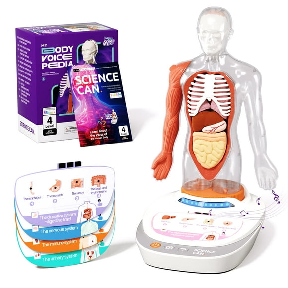 Modèle de Corps Humain pour Enfants, Modèle Interactif d'Anatomie Humaine Parlante - Kit d'Assemblage Anatomique Réaliste de 11 Pouces 15 Pcs Pièces Amovibles et Jouets Éducatifs STEM Guide