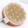 thumbnail image 5 of Scrubber - Cerdas de jabalí y nódulos de masaje para piel seca, circulación sanguínea, tratamiento de celulitis y drenaje linfático, 5 of 5