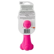 Hartz Dura Play Bone Dog Toy, Large, Color Will Vary,