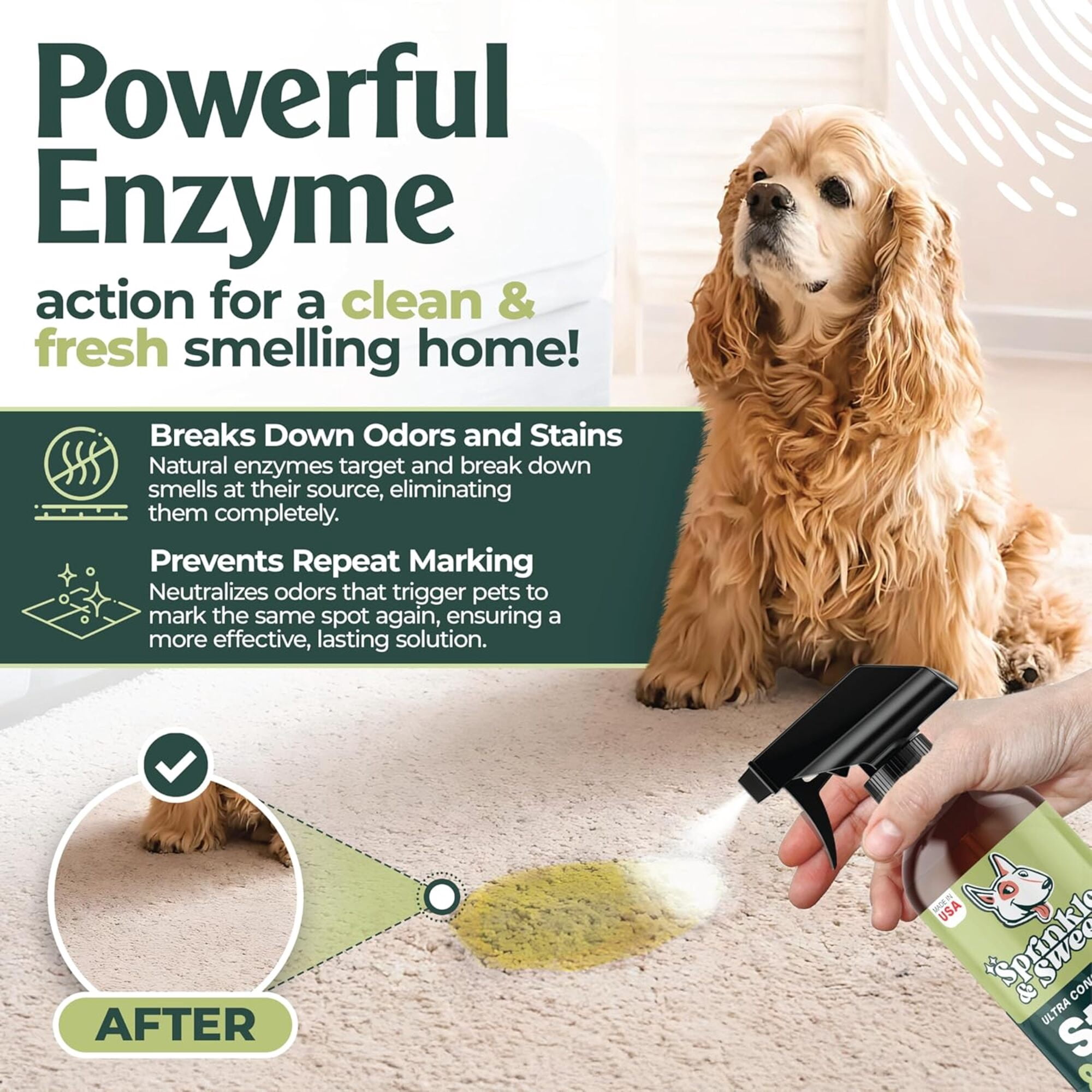 Sprinkle & Sweep: Pet Mess & Odor Cleanup Bundle - 15oz Bag, Dustpan Broom, 24oz Enzyme Stain Spray - Dog Accident Clumping Powder & Spot Treatment
