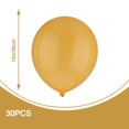 thumbnail image 2 of relayinert Matte Balloon New, 2 of 9
