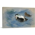thumbnail image 1 of ARTCANVAS A Pair Of Elder Ducks 1917 Canvas Art Print by Archibald Thorburn - Size: 18" x 12" (0.75" Deep), 1 of 9