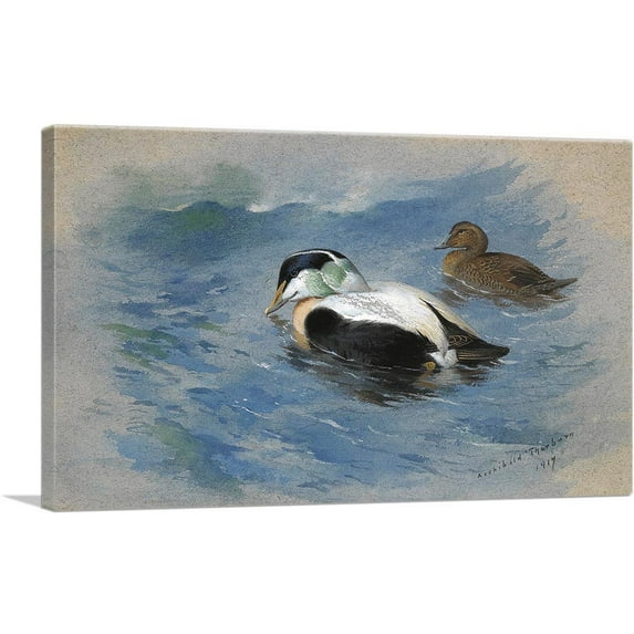 ARTCANVAS A Pair Of Elder Ducks 1917 Canvas Art Print by Archibald Thorburn - Size: 18" x 12" (0.75" Deep)