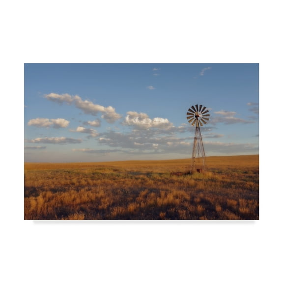 Trademark Fine Art 'South Leunberger' Canvas Art by Amanda Smith