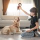 thumbnail image 4 of Juguete de peluche para perros, resistente a mordeduras, serie navideña, suministros para mascotas (oso marrón claro) Tmvgtek Para estrenar, 4 of 6