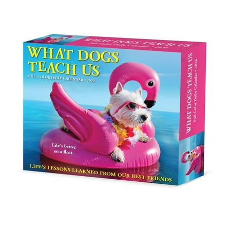 Willow Creek Press, What Dogs Teach Us 2026 Desk Calendar, 6.18'' X 5.43'', Daily Calendar with Adhesive Binding