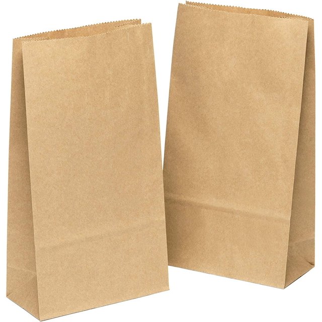Laklulu Bolsas de Papel 100 Piezas Marrón - 9 x 17 x 5,5 cm Bolsas de Regalo Bolsas marrones Manualidades Papel Kraft Bolsas con Fondo DIY para llenar Envoltorios de Regalo Pequeño Calendario de