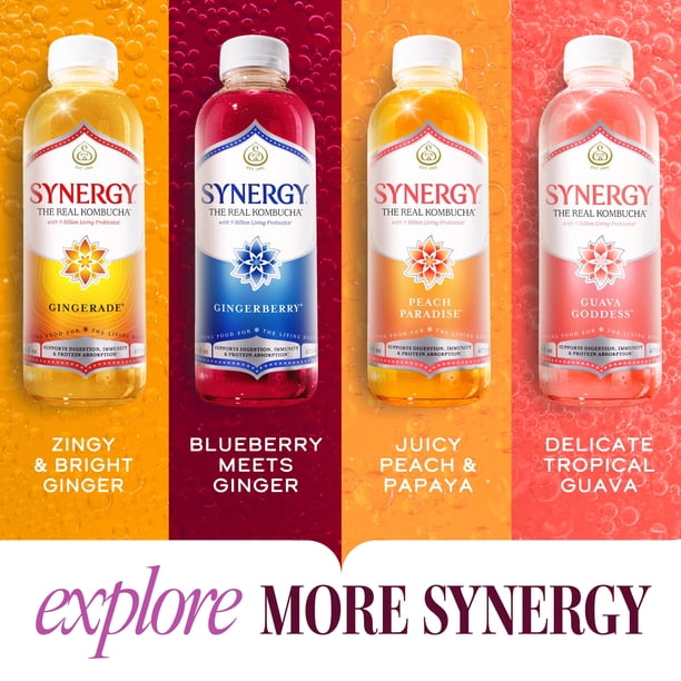 Synergy Kombucha 2pk - Herbal tea for grocery retail - Walmart