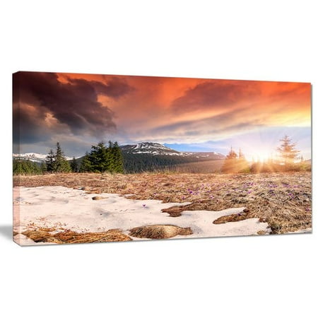 - Design Art 'Blooming Crocuses in Mountains' Photographic Print on Wrapped Canvas