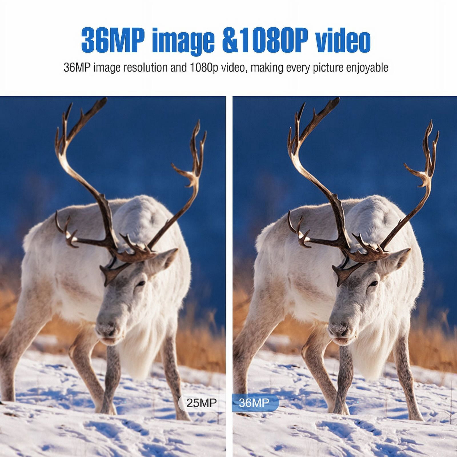 Boly Media MG984G-36M 36MP 4G LTE Wireless Trail Camera