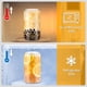 thumbnail image 3 of Vasos de Vidrio Sungwoo 4PCS con Tapas y Popotes de Bambú 500mL Transparentes, 3 of 7