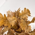 thumbnail image 6 of Homchy Fall Decor Artificial Maple Leaf Garland, 8ft Fall Foliage Vine for Thanksgiving, Autumn Wedding, Indoor Outdoor Party Decor, 6 of 8