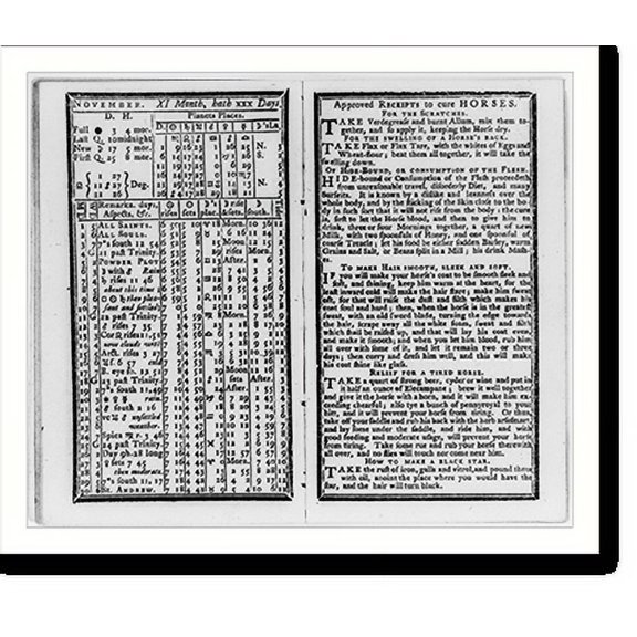 Historic Print, November XI month, hath xxx days..., 16" x 20"