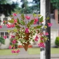 thumbnail image 2 of 15" Fuchsia and Ivy Hanging Basket, 2 of 5
