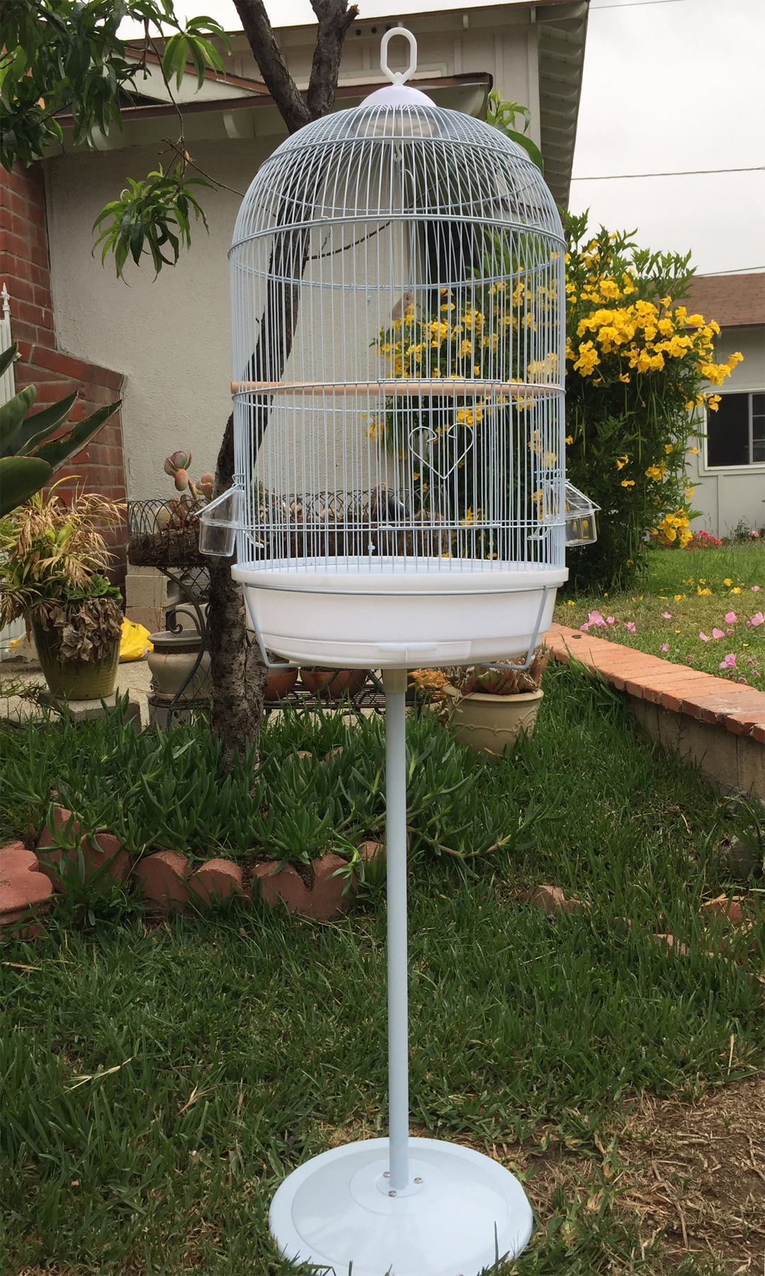 Large 57" Round Bird Flight Hook Cage with Stand for Small Size Finch