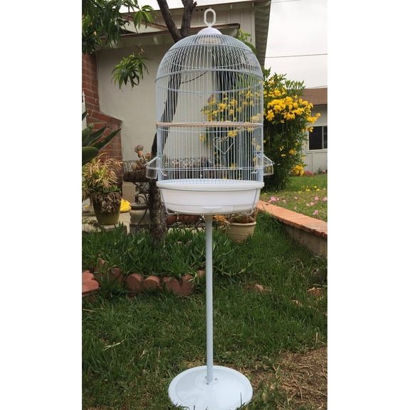 Large 57" Round Bird Flight Parrot Hook Cage with Stand for Small Size Finches Canary Cockatiel Parakeet Aviary Budgie Lovebird