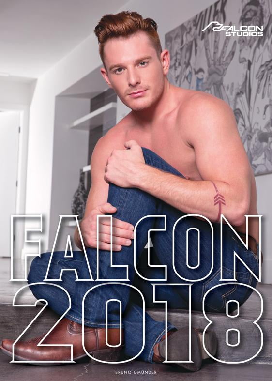 Falcon 2018 (Other)