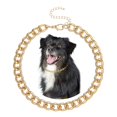 thumbnail image 1 of Collier Perlé pour Chien / Collier Perlé Réglable Durable / Collier pour Animaux de Compagnie Mignon / Bijoux pour Fille Rose Accessoires pour Chiot / Collier pour Animaux Cadeau 16 Pouces, 1 of 6