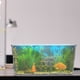 thumbnail image 3 of Acuario pequeño de escritorio, pecera transparente de plástico, pecera pequeña, pecera para peces de colores., 3 of 6