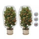 thumbnail image 5 of Red de barrera para insectos, malla para protección de árboles, frutas, plantas, invernadero, jardín, 2 uds., 5 of 8