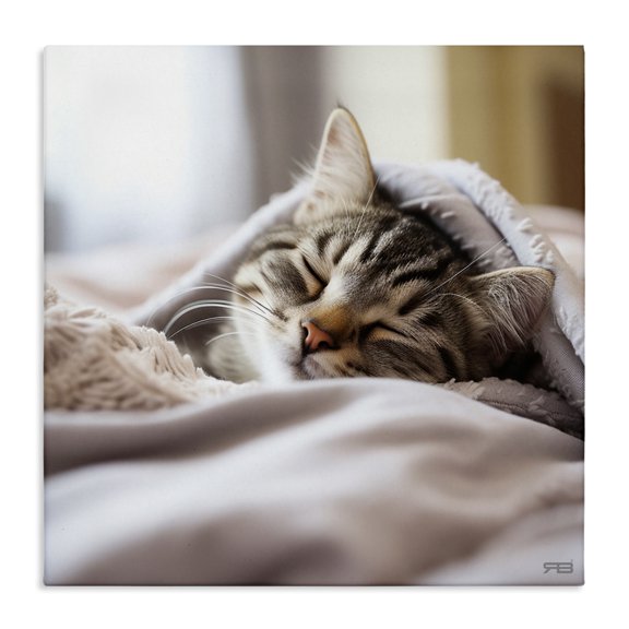 Stupell Industries Shabby Chic Cozy Sleeping Kitten Canvas Art, 30 x 30, by RB