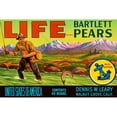 thumbnail image 3 of Retrolabel 18x13 Black Modern Framed Museum Art Print Titled - Life Brand Bartlett Pears, 3 of 5