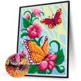 thumbnail image 1 of Cuadros Decorativos Diamond Painting 5D DIY Full Round Drill Butterfly Kit Decoración del hogar (sz4356) DQrwqpou embutido en tela, 1 of 7