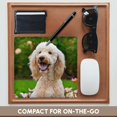 thumbnail image 4 of 3dRose, USA, California. Portrait of Labradoodle sitting in rose garden., MousePad, 4 of 7