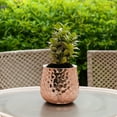 thumbnail image 7 of WGV Unique Textured Rose Gold Pot - 7.5" Wide x 6.5" Height, Good quality, Heavy Weighted Base - 1 Pc, 7 of 7