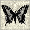 thumbnail image 3 of Vision Studio 20x20 Black Modern Framed Museum Art Print Titled - Classical Butterfly I, 3 of 5