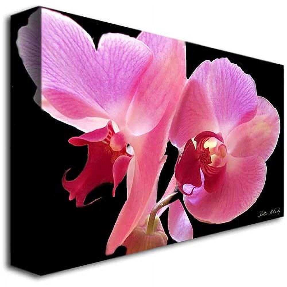 Trademark Fine Art "Orchid" Canvas Art by Kathie McCurdy