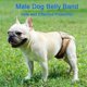thumbnail image 1 of Male Dog Belly Band Pet Diaper Washable Wrap Waterproof Toilet Training Dog Physiological Pant, 1 of 5