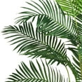 thumbnail image 2 of Nearly Natural 5261 Paradise Palmier Artificiel, 7 Pieds, Vert, 2 of 9