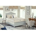 thumbnail image 2 of PlushBeds Hybrid Kids Mattress, 2 of 5