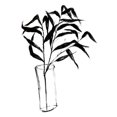 thumbnail image 3 of Goldberger, Jennifer 19x24 Black Modern Framed Museum Art Print Titled - Sumi-e Bamboo I, 3 of 5