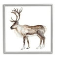 thumbnail image 5 of Stupell Industries Reindeer Wild Animal Children's Nursery Watercolor Painting, 24 x 24,Design by Fox Hollow Studios, 5 of 5