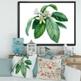 thumbnail image 2 of Designart 'Flowering Mandarin With Branch' Traditional Framed Canvas Wall Art Print, 2 of 5