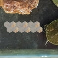 thumbnail image 1 of HAMPPLIES 10Set Turtle Docks For Basking Natural Multi Ideal For Pet Owners Terrarium, 1 of 6