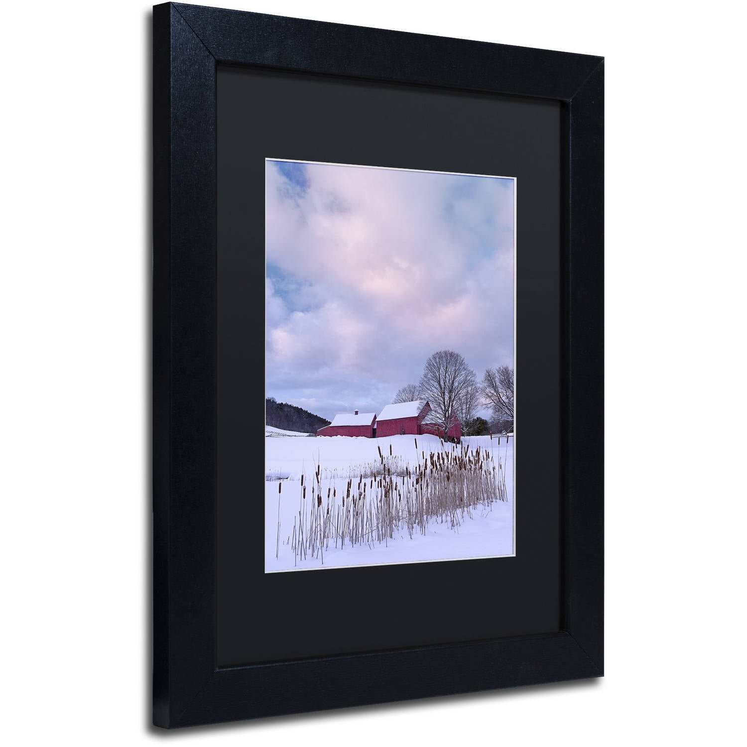 Trademark Fine Art "Cat O'Nine In Snow" Canvas Art by Michael Blanchette Photography Black Matte, Black Frame