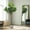 Style 04, variant on Colourtree Fiddle 59" Leaf Fig Tree Artificial - Tall Faux Fiddle Leaf Fig Tree - Fake Fig Plant with Realistic Texture for Indoor Outdoor Modern Home House Office - Pot Style 03