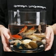 thumbnail image 3 of WGV Clear Cylinder Glass Vase - 8" Wide x 8" Height, Good quality, Heavy Weighted Base - 1 Pc, 3 of 3