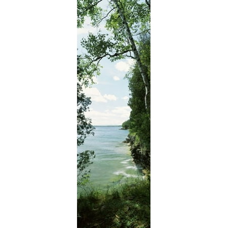 Trees at the lakeside Cave Point County Park Lake Michigan Door County Wisconsin USA Poster Print (8 x