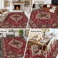 thumbnail image 5 of Area Rug for Living Room, Country Boho Non-Slip Indoor Large Carpet for Bedroom/Dining Room, Farmhouse Ethnic Abstract Nation Aesthetic Washable Low-Profile Rectangle Floor Runner Rugs - 6 x 9 Ft, 5 of 7
