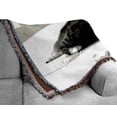 thumbnail image 2 of Funny Cat Wears Tie, 2 of 2