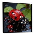 thumbnail image 2 of Designart "The Vibrant Reflections Of Lively Ladybugs II" Ladybug Floater Framed Canvas Art Print, 2 of 5