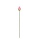 thumbnail image 2 of Capullos de Loto Artificiales | Flores de Loto Artificiales para Arreglos Florales En Jarrones, Decoración Del Hogar y Estanques | Tallos Florales de Tela para Centros de Mesa y Accesorios de Fotogra, 2 of 6