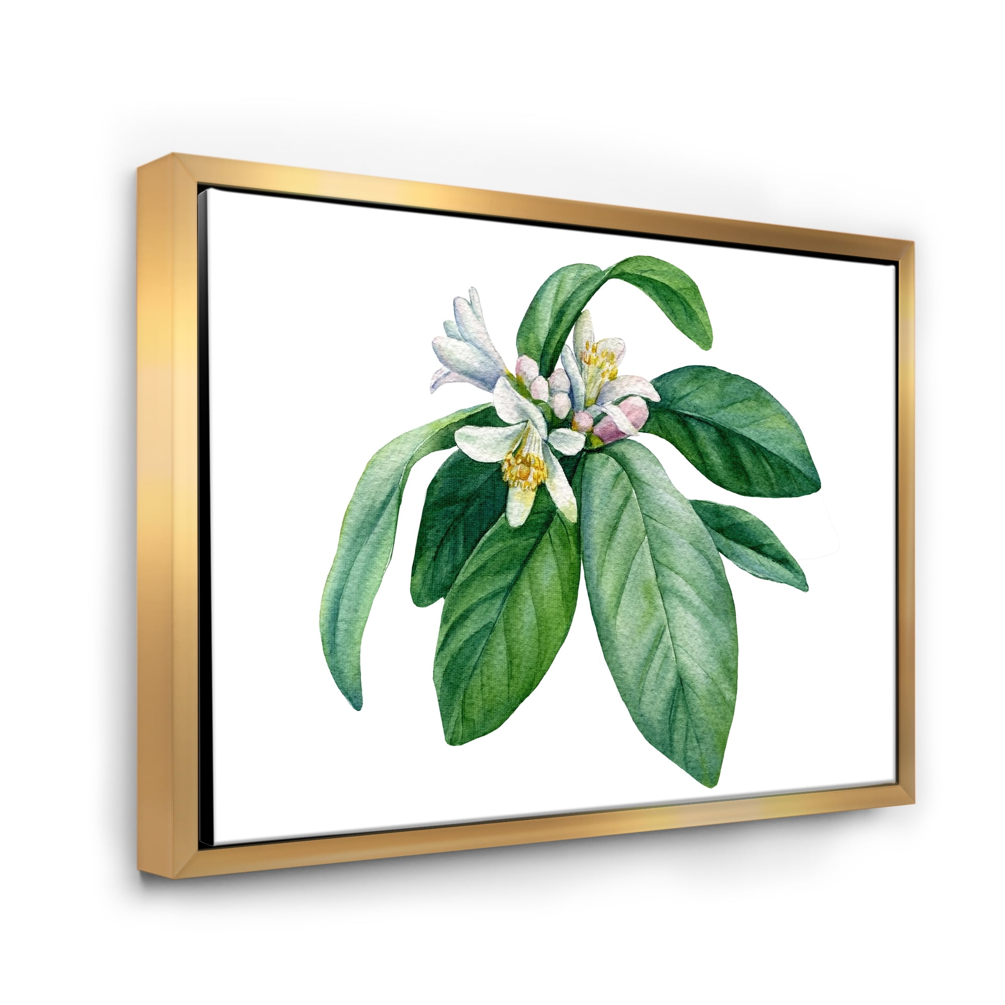 Designart 'Flowering Mandarin With Branch' Traditional Framed Canvas Wall Art Print