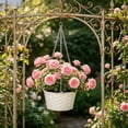 thumbnail image 1 of Maceta Colgante – Maceta Suspendida para Plantas de Interior y Exterior con Cadena para Colgar., 1 of 6